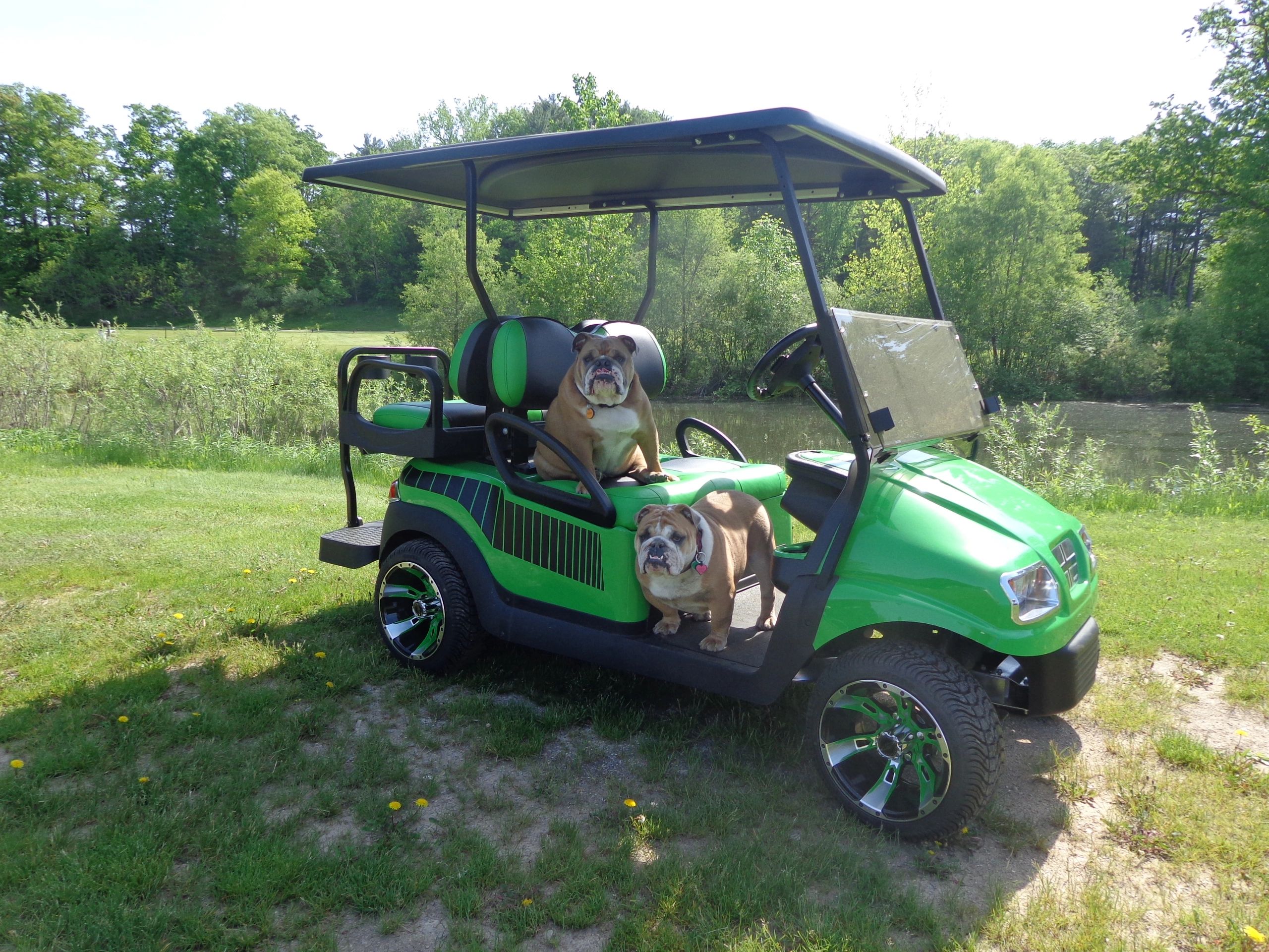 Green Oak Golf Carts Golf Cart Sales, Golf Cart Service / Rentals