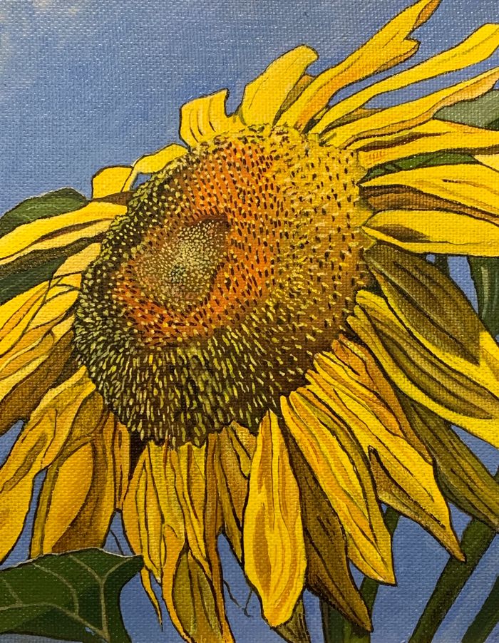 Summer Sunflower #1 11' x 14'