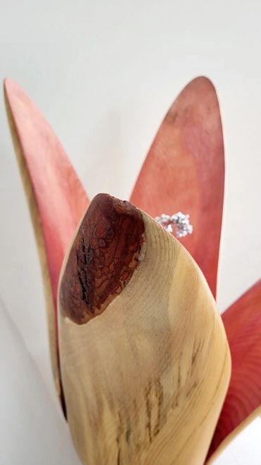 Anick Boulet Sculpture bois rose québécois organique nature métal sculpteur meilleur