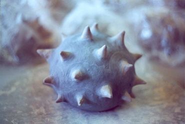 Anick Boulet Sculpture