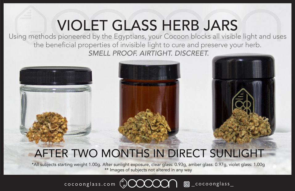 Cocoon protects better than clear or amber glass in a cannabis comparison.