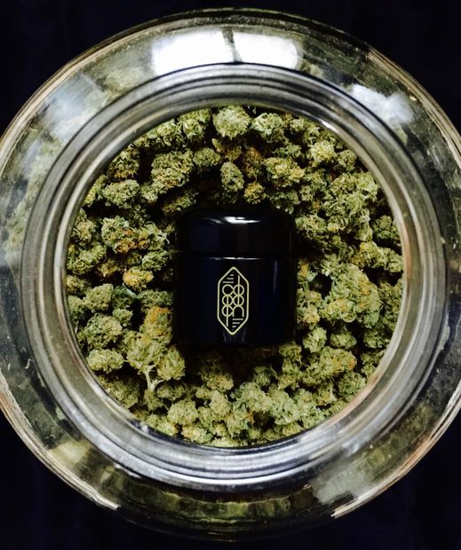 Cocoon Violet Glass Herb Jar in Cannabis