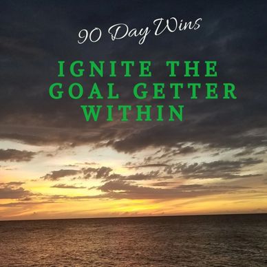 90 Day Wins Audiobook