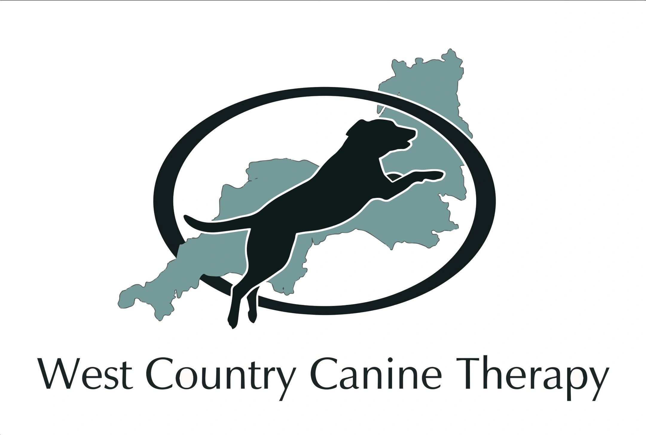 Canine Physiotherapy, Canine Hydrotherapy and Rehabilitation in Devon
