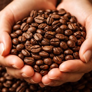 Hands holding a heap of roasted coffee beans.