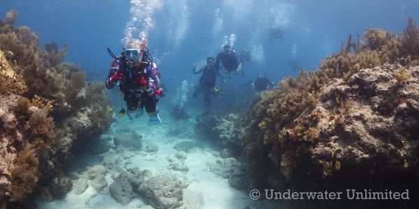 Scuba Divers on a reef in Miami
