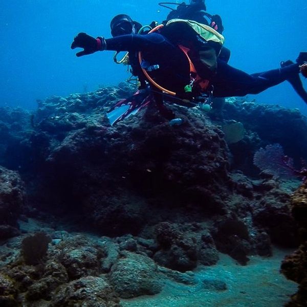 Scuba diver on a reef in Miami Florida