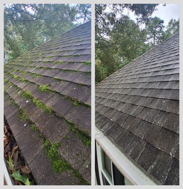 Side-by-side comparison of a mossy roof before and after cleaning.