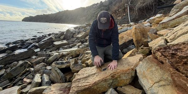 Joe examining a possible dinosaur vertebra during a collecting trip. The specimen’s identification r
