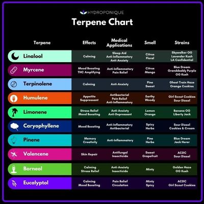 Terpenes
Terpene chart
What are terpenes
How do terpenes affect the body
Marijuana Terpenes
Cannabis