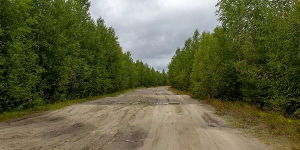 A dirt road surrounded by dense green trees under a cloudy sky.