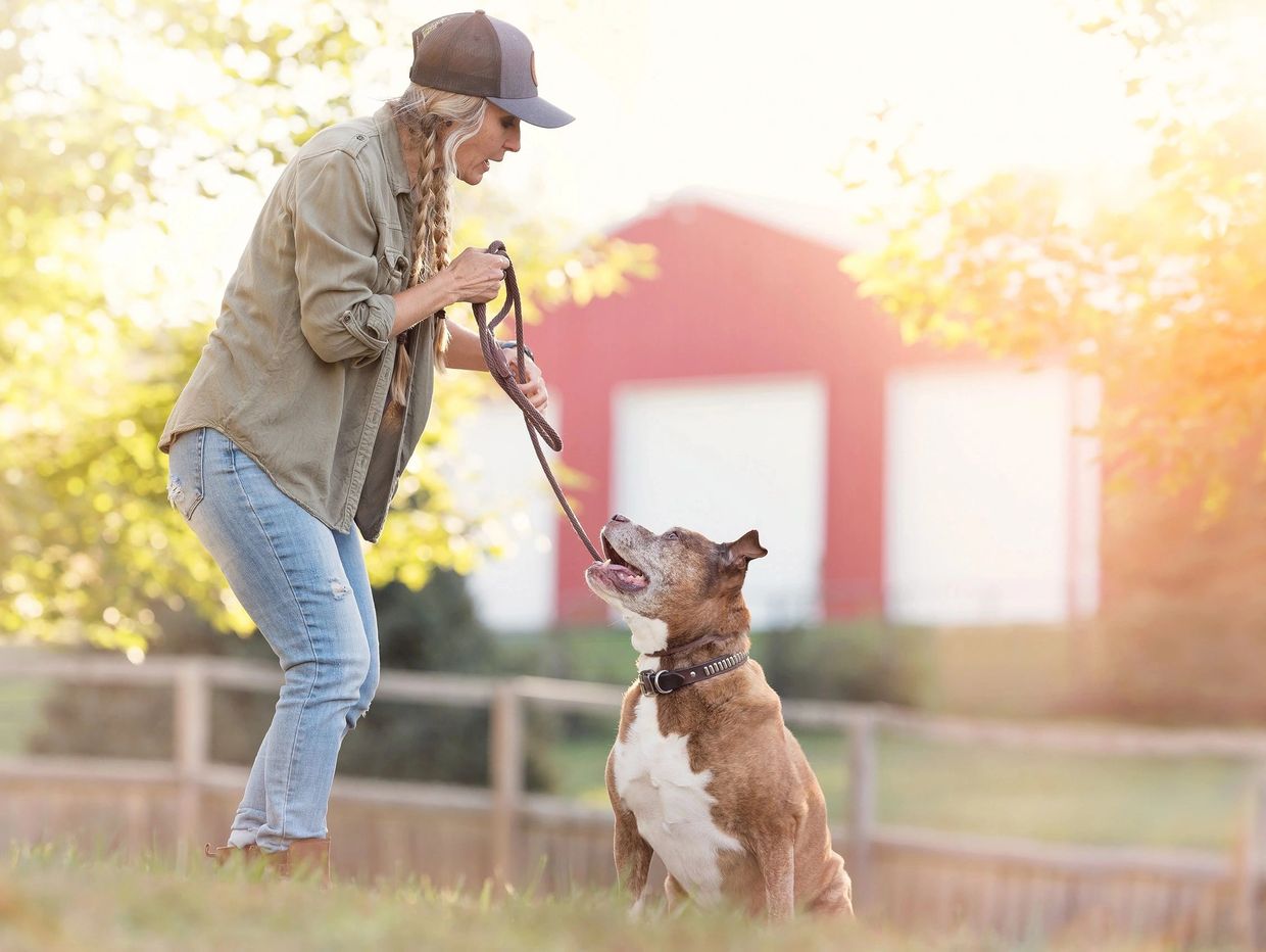 Woman training her dog outdoors with a leash on a sunny day.