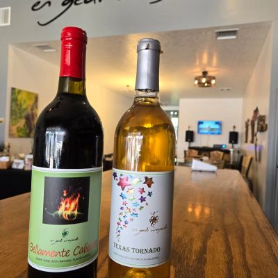 Bottles of En Gedi Vineyards Wine