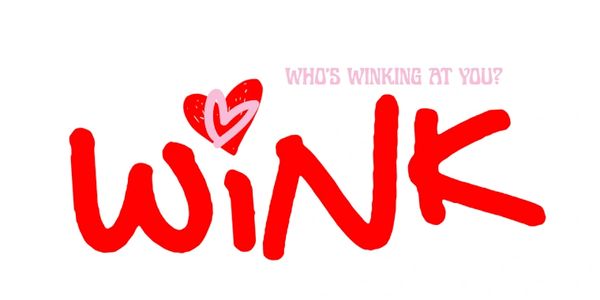 Text art saying 'WINK' with a heart and 'Who's winking at you?'