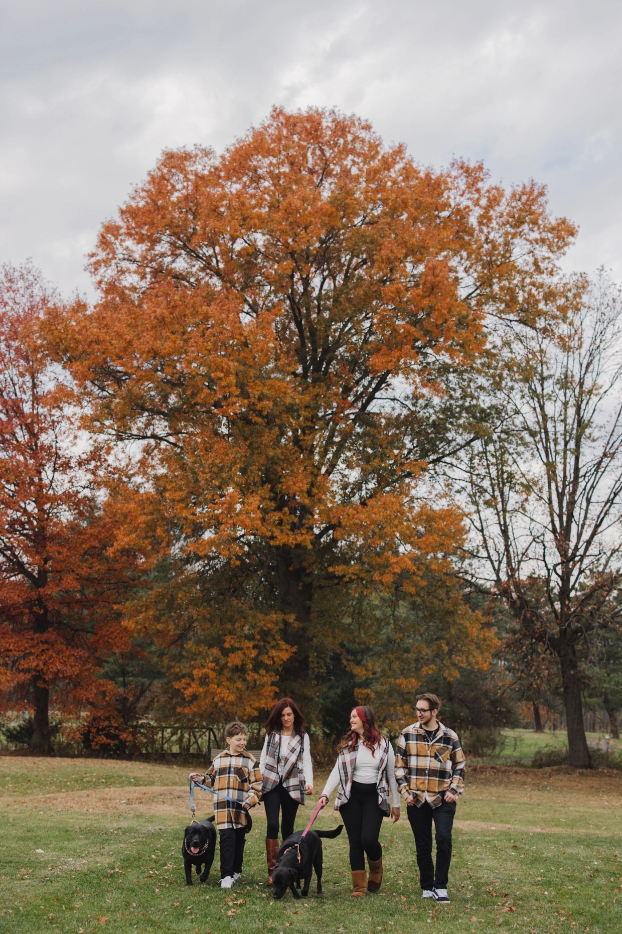 A family of four walking dogs in an autumn park with colorful fall foliage.