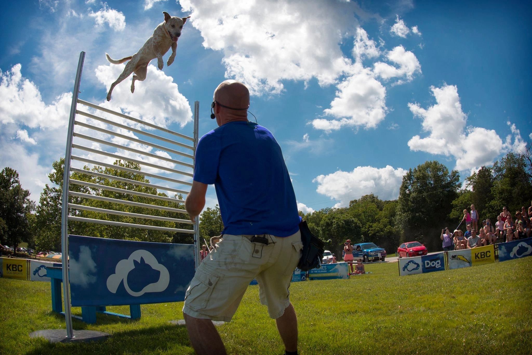 Canines in the Clouds