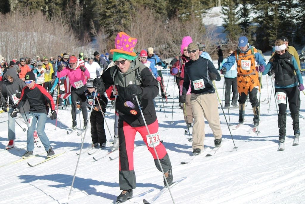 Group of cross country skiers
