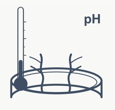 Illustration of pH testing with a thermometer and sample container.