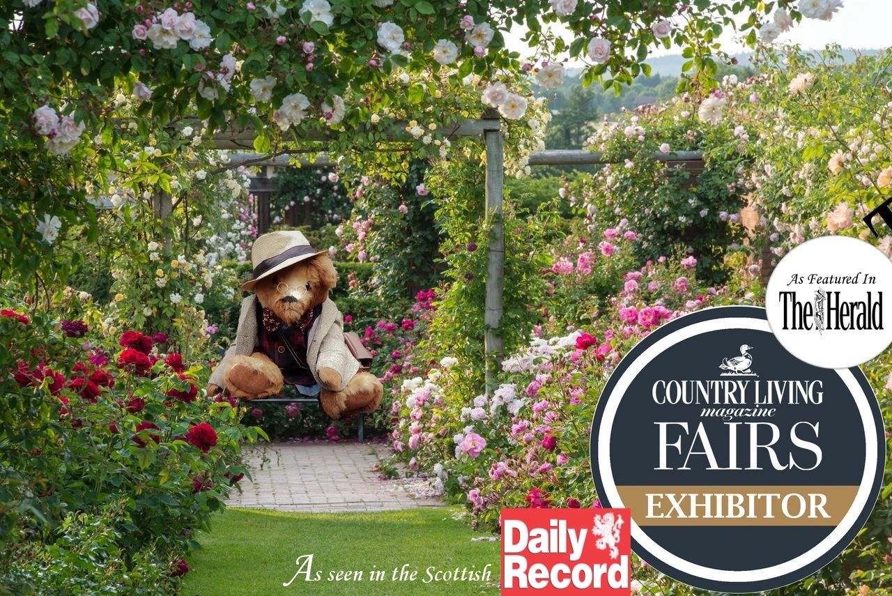 The Artful Bear as featured in The Herald and Scottish Daily Record. Country Living Fairs Exhibitor