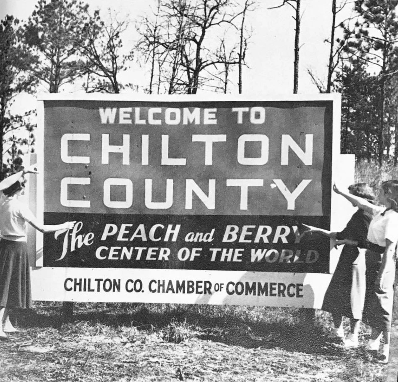 Chilton County Peach Sign