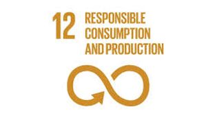 SDG 12 - Responsible Consumption and Production