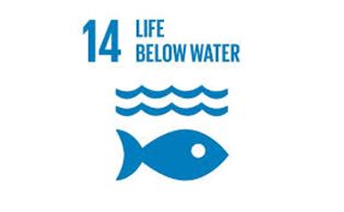 SDG 14 - Life Below Water