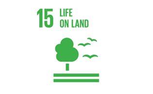 SDG 15 - Life on Land