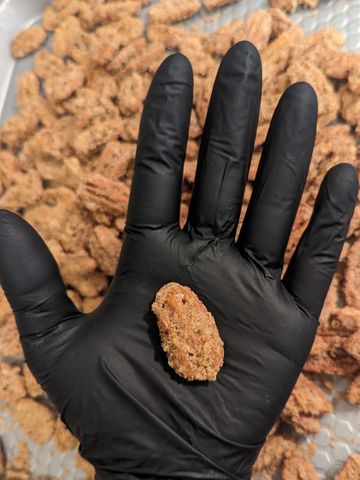 A gloved hand holding a sugar-coated pecan.
