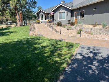 Modern house with a paved walkway and landscaped garden under a clear blue sky.