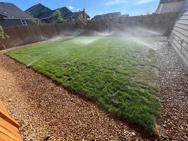 Sprinklers watering a green backyard lawn under a bright blue sky.