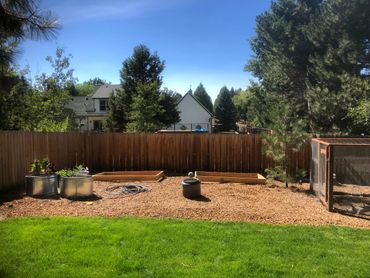 Backyard garden with raised beds, green grass, and a fenced area under a clear blue sky.