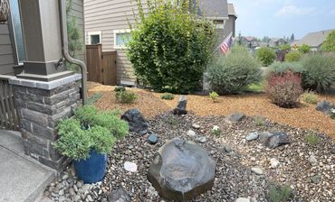 A landscaped yard with rocks, shrubs, and a blue planter near a house corner.