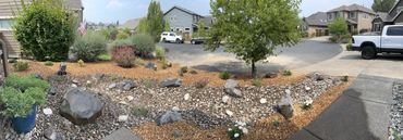 A landscaped front yard with rocks, shrubs, and a tree in a suburban neighborhood.