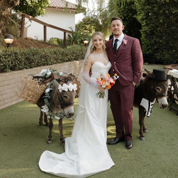 Bride and groom pose with two donkeys dressed for a wedding.