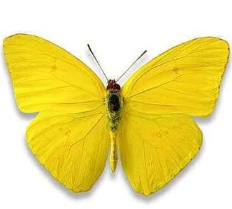 To impact communities and bring light to those things that cause disconnect in the family structure.