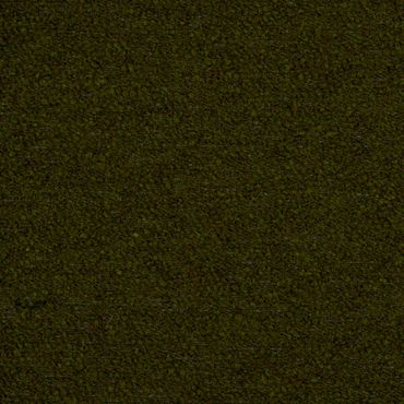 Dark textured surface with subtle green and brown tones.