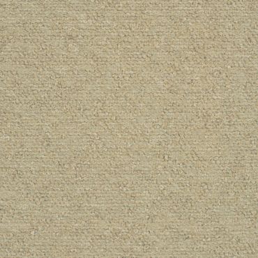 Close-up of a textured beige carpet surface.