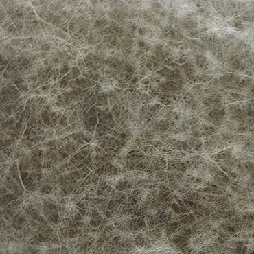 Close-up of a textured, fibrous surface with intricate web-like patterns.