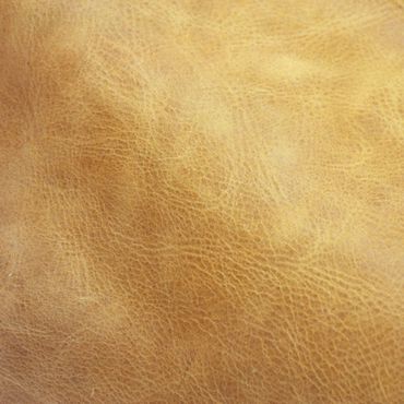 Close-up of textured tan leather surface.