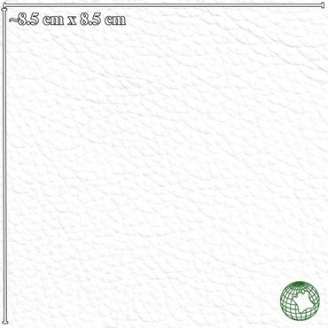 A textured white square measuring approximately 8.5 cm by 8.5 cm with a green globe logo in the corner.