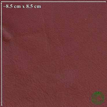 Close-up of textured reddish-brown leather surface, measuring about 8.5 cm by 8.5 cm.