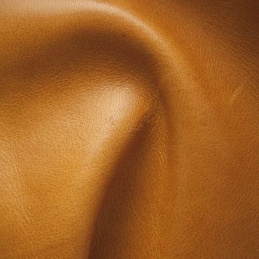 Close-up of a smooth, tan leather surface with natural creases.