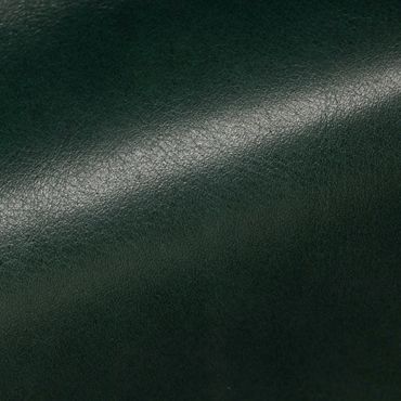 Close-up of dark green leather texture with soft shine.