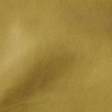Close-up of smooth, tan leather texture.