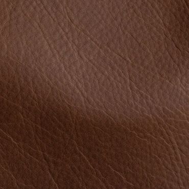 Close-up of textured brown leather surface.