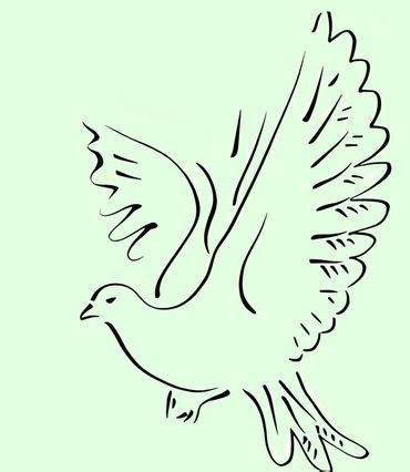 Minimalist line drawing of a dove in flight.