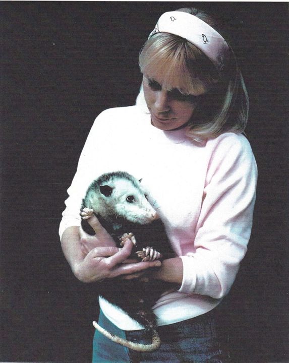 Woman holding a possum gently.