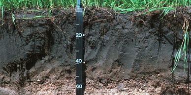 soil test picture black river falls
