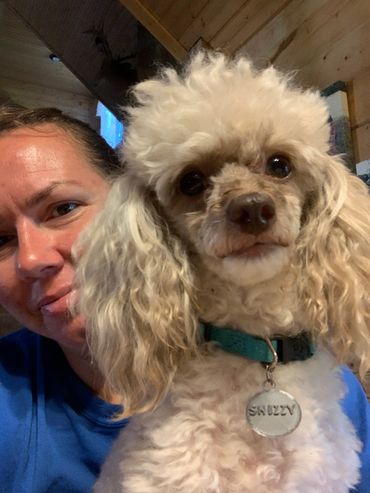 health tested toy poodles