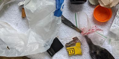 Biohazard cleanup of dangerous debris: needles, drugs, broken bottles.